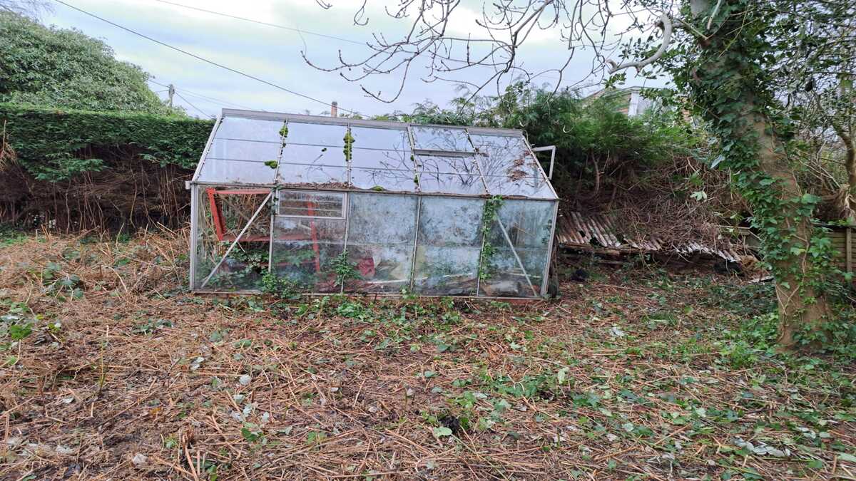 Look the greenhouse!